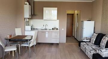 Фото номера Номер-студио Апартаменты Apartment on Gazovikov г. Небуг 11
